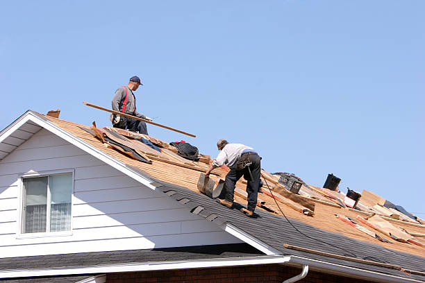 Best Roofing for New Construction  in Privateer, SC